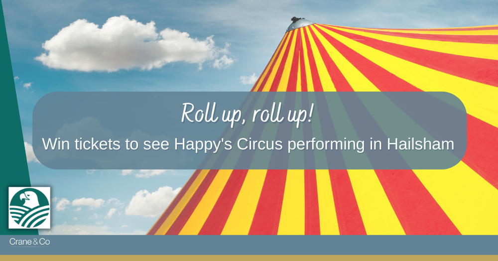 hawkes farm circus (1000 × 524px)